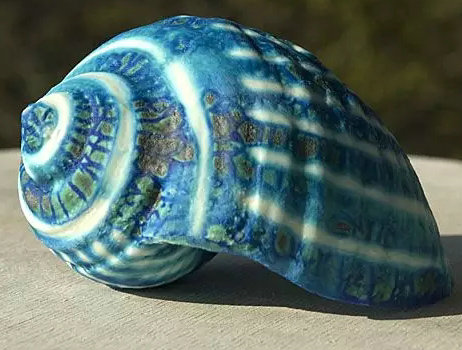 诱人的贝壳艺术(图4)